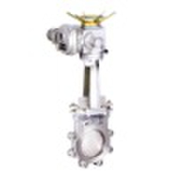 Electric Knife gate valve