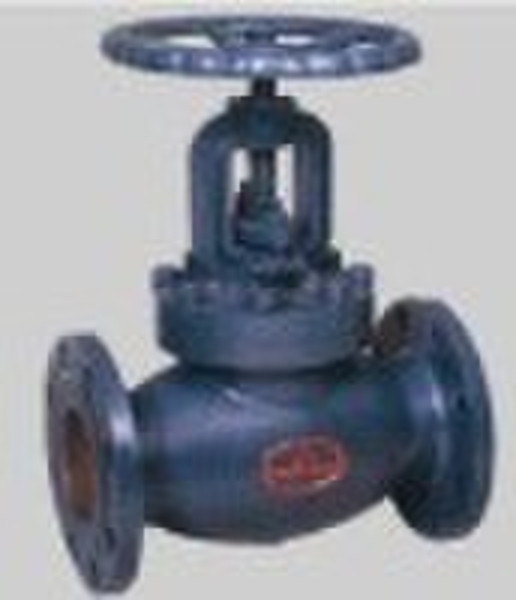 Cast iron piston check valve