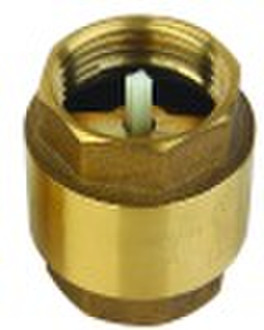 spring check valve