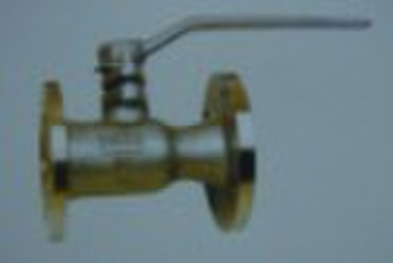 Flange blowdown valve