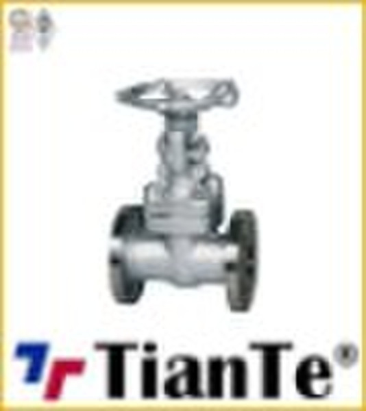 API 602 Forged Steel Globe Valve