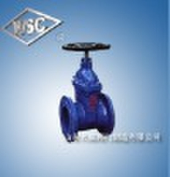 gate valve