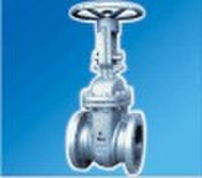 gate valve