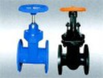 gate valve