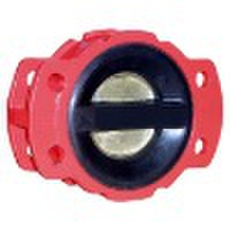 rubber-coated check valve