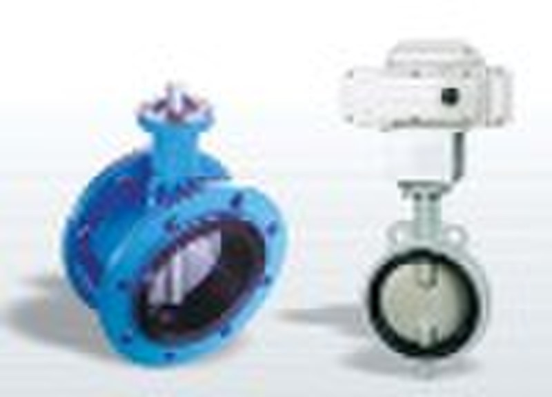 Iron Butterfly valve