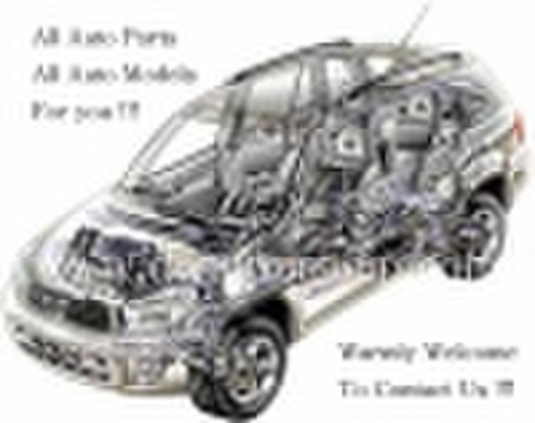 Auto Parts(car part,automobile part)
