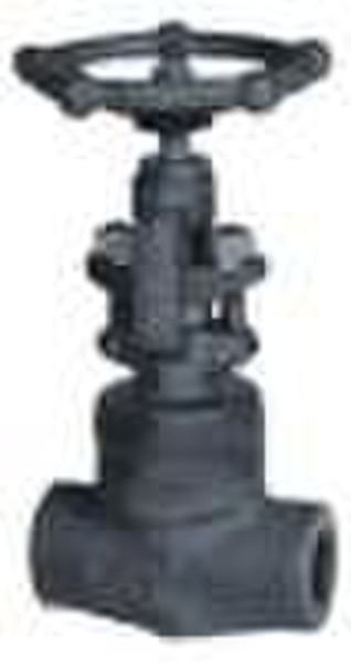 Forged Steel Globe Valve