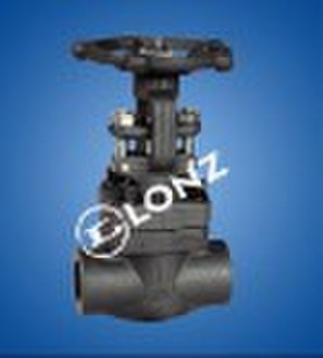 Forged Gate Valve