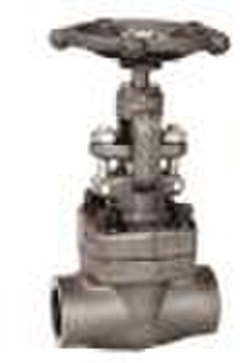 Forged Globe Valve