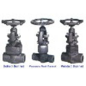 Forged Steel Globe Valve