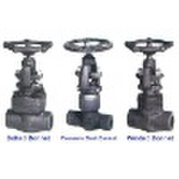 Forged Steel Globe Valve