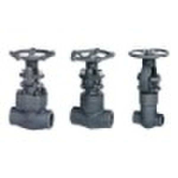 Forged Steel Gate Valve