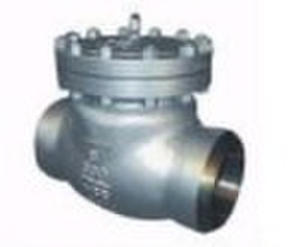 Bw Swing Check Valve