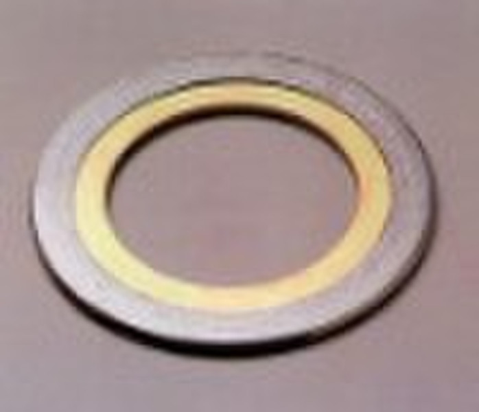 Spiral wound gasket