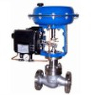 Single seat control valve