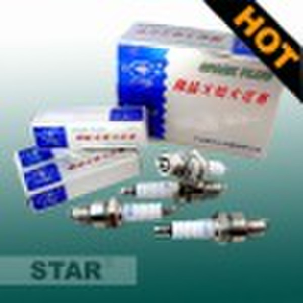 Spark Plug