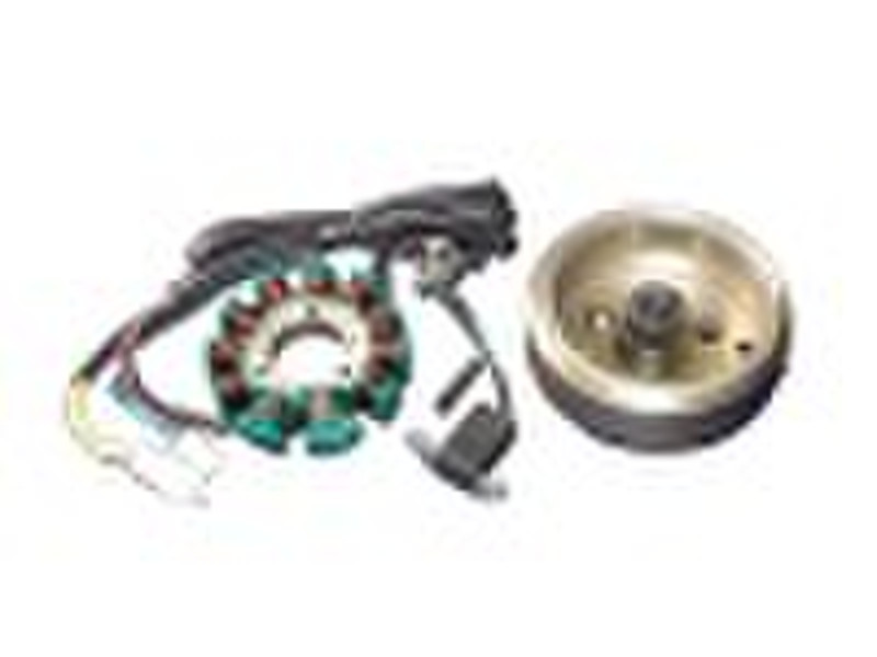 motorcycle  part(magneto coil CBT250D-11)