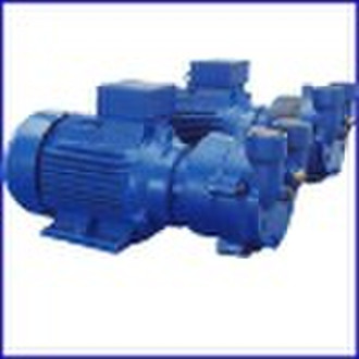Liquid Ring Vacuum Pump