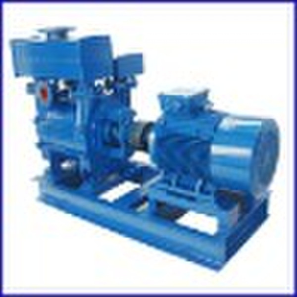 Water Ring Vacuum Pump