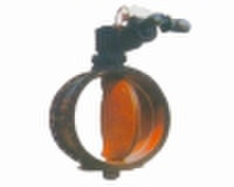 Butterfly Valve