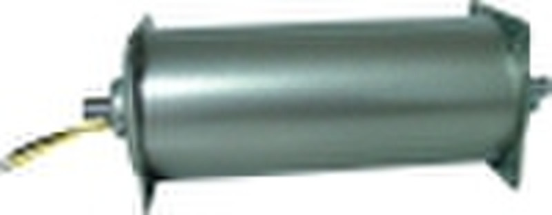 car flating pump motor