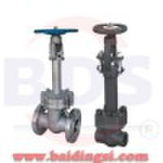 Cryogenic gate valve