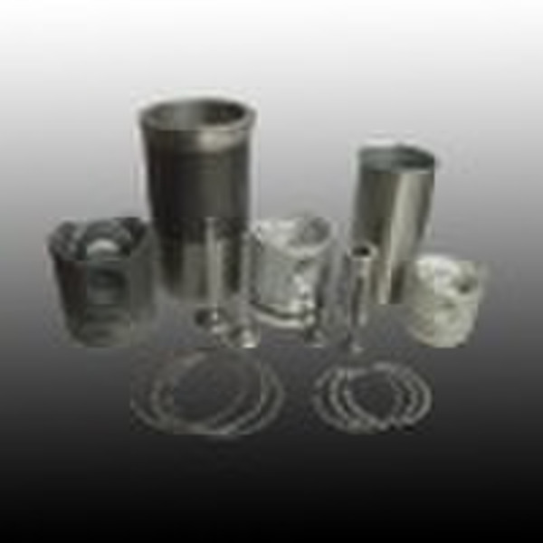 Piston & Piston Ring kit