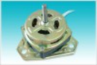 Washing Machine Motor