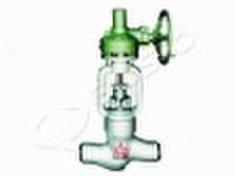 Y-pound globe valve