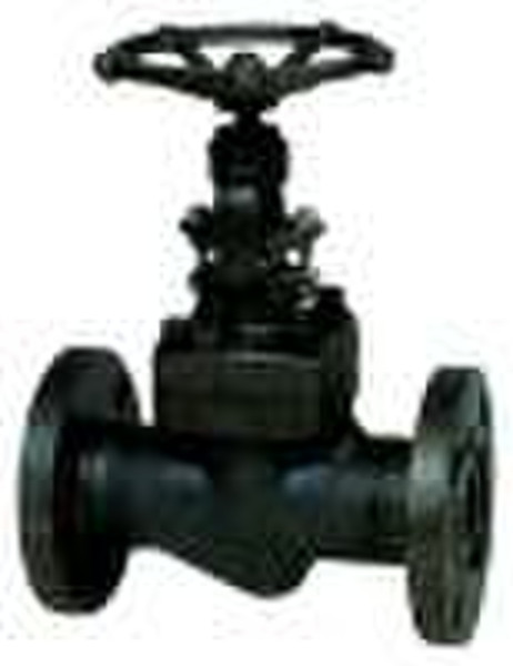 Forged steel globe valve