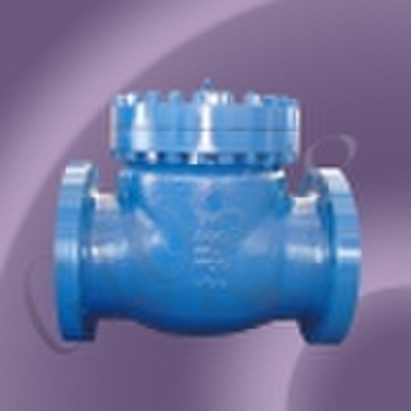 Swing Check Valve