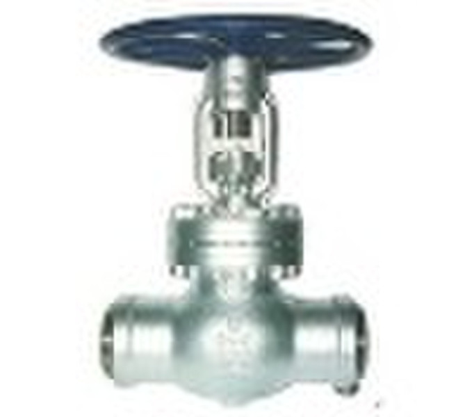 Class 900 Cast Steel Globe Valve