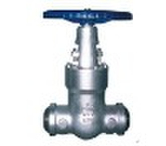 Class 2500 Cast Steel Gate Valve