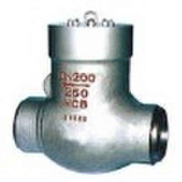 API power station check valve