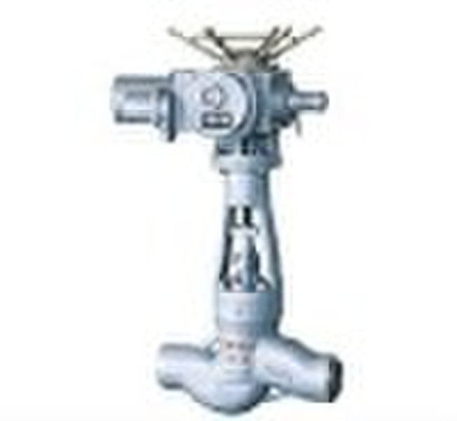 Power station globe valve