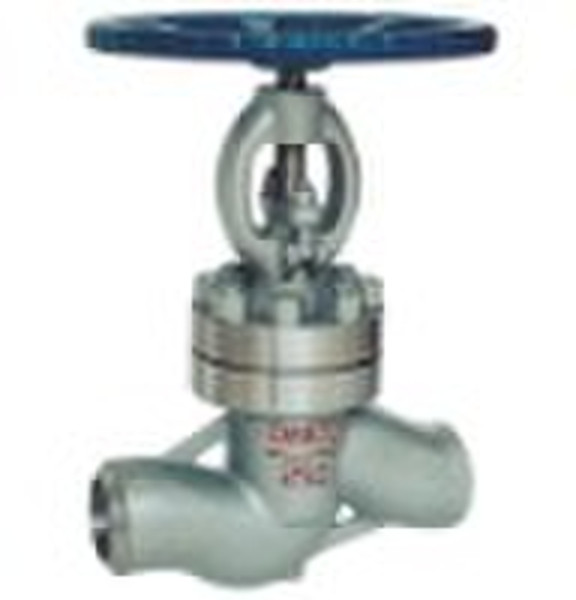 Power station globe valve