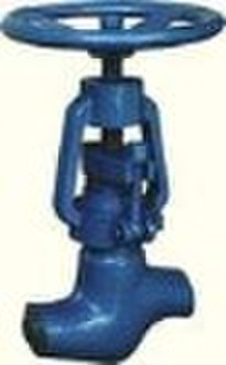 Api Power Station Globe Valve