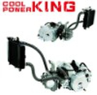 50cc Water Cooled Engine LP1P39MB