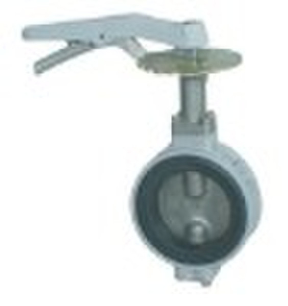 butterfly valve