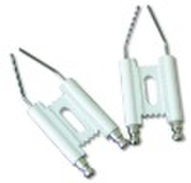 electrode igniter