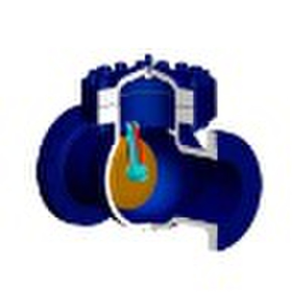 Swing Check Valve