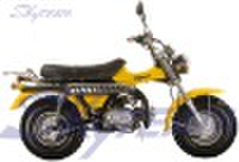 SKYTEAM T-REX 50cc 4 stroke on road motorcycle (EE