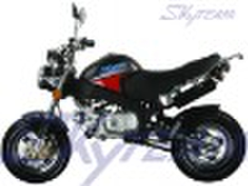 SKYTEAM 125CC 4 stroke PBR ZB50 bike (EEC EUROIII