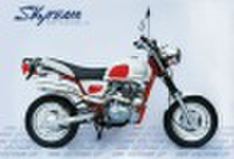 SKYTEAM ЕЕС 50CC 125CC и APE МОТОЦИКЛ