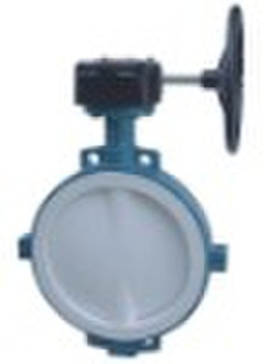 Fluorine lined butterfly valve