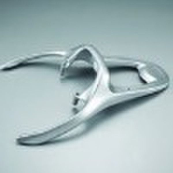 HANDSOME BOY   LUGGAGE CARRIER