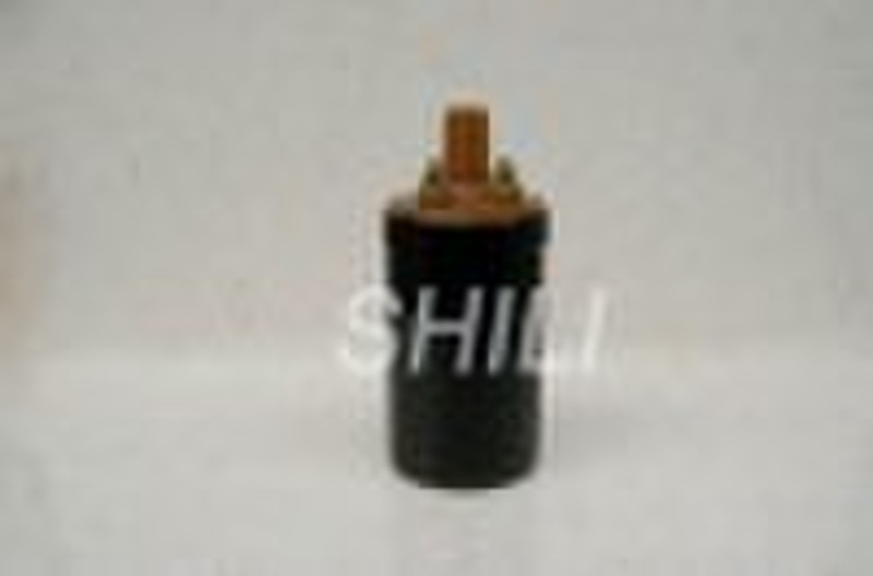 SL-DQ173  oil ignition coil