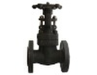 Forged  Stainless steel flanged end  gate valve