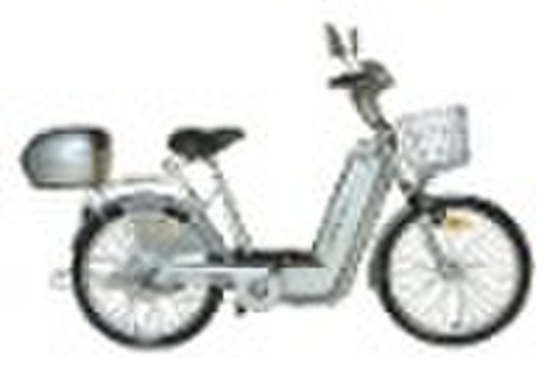 Electric scooter(LDS101Z)